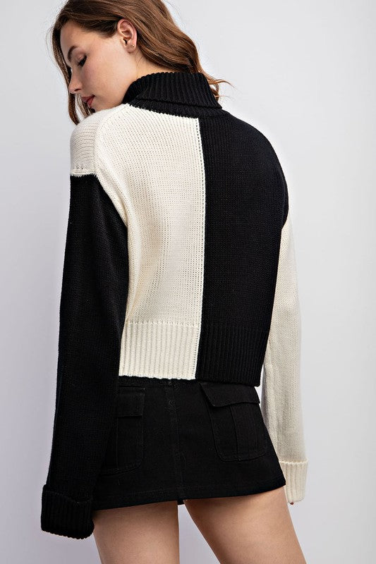 Color Block Turtleneck Sweater