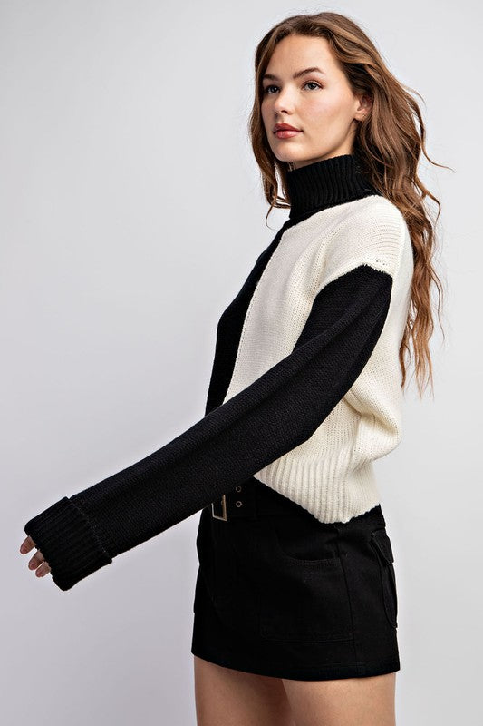 Color Block Turtleneck Sweater